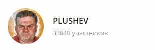 картинка: телеграм канал о политике plushev