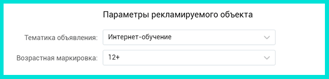 Указываем тему и возраст ЦА во ВКонтакте