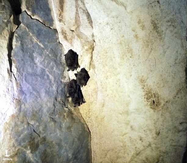 Миндигуловская пещера в Башкирии